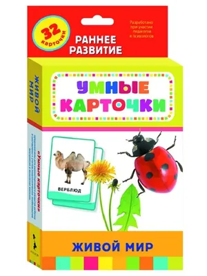 Детские развивающие карточки Монтессори для изучения английского языка /  говорящие интерактивные карточки / 112 карточек / 224 слова