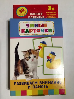 Купить Развиваем логику, внимание, память. Развивающие карточки. Готовимся  к школе в Минске и Беларуси за  руб.