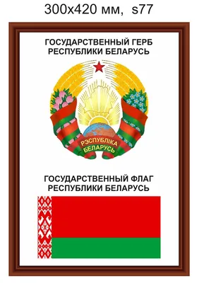 Флаг РБ с купить в Минске (50х100 см)