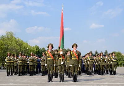 Панно настенное "Герб РБ" - купить (заказать) панно с гербом РБ в Минске -  ООО Панна сувенир