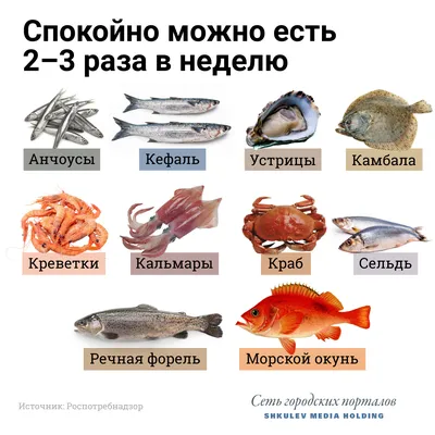 Плакат Дрофа-Медиа Речные Рыбы 2165 - купить подготовки к школе в  интернет-магазинах, цены на Мегамаркет |