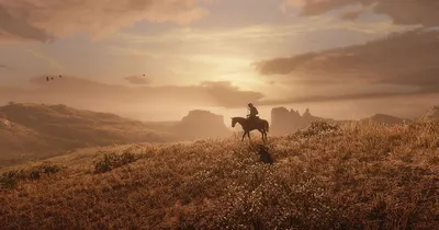 Hidden files hint at a possible PC version of Red Dead Redemption 2 |  TechCrunch