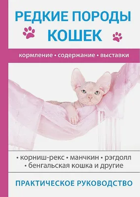 Книга Редкие породы кошек • Бочкова С. – купить книгу по низкой цене,  читать отзывы в  • Эксмо-АСТ • ISBN 978-5-521-05903-4, p5416898