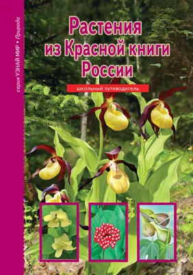 Отзывы о книге «Растения из Красной книги России», рецензии на книгу Сергея  Афонькина, рейтинг в библиотеке Литрес