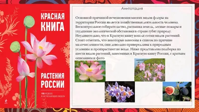 Растения, занесенные в Красную книгу Краснодарского края