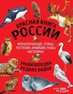 Росприроднадзор: Китай вывозит из России редкие растения