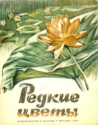 Самые редкие растения Москвы - Агентство городских новостей «Москва» -  информационное агентство
