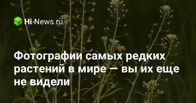 Фотографии самых редких растений в мире — вы их еще не видели | NEWS MEDIA