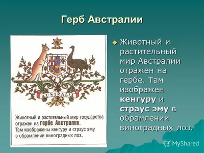 Австралия и её эндемики. Реферат по географии за 11 класс