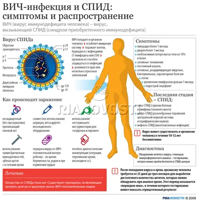 Реферат : ВИЧ инфекция. СПИД | Рефераты Основы безопасности  жизнедеятельности (ОБЖ) | Docsity