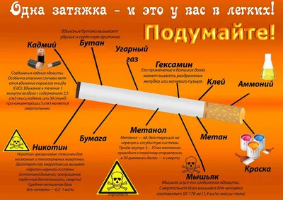 Курение реферат по безопасности жизнедеятельности | Сочинения Основы  биологической безопасности | Docsity