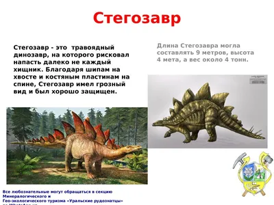 Спинозавр — Википедия