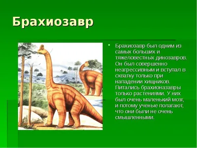 Презентация на тему: "ДИНОЗАВРЫ Урок окружающего мира в 1 классе. Хочу всё  знать… Кто такие динозавры? Кто такие динозавры? Кто такие динозавры? Кто  такие динозавры? Когда.". Скачать бесплатно и без регистрации.