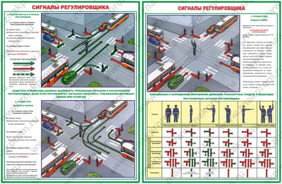 Сигналы регулировщика - ГИБДД, ПДД и смежные законы - Форум Челябинских  Автомобилистов