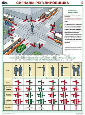 Сигналы регулировщика в ПДД | АВТО-ЕВРО | Дзен