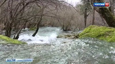 Дом возле реки — раскраска для детей. Распечатать бесплатно.