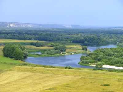 Река дон картинки