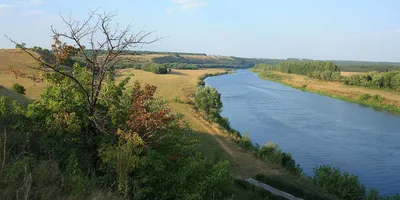 В рамках оздоровления реки Дон очистят 30 водных объектов | ИА Красная Весна