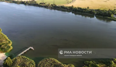 Река Дон. Что за рыба в водоеме? | Всё обо всём | Дзен