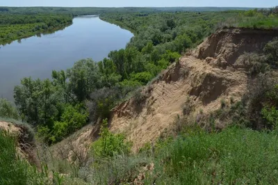 Климатолог считает, что река Дон может стать самой большой в мире