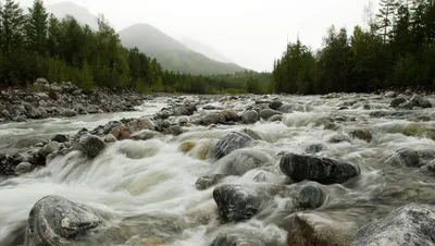 Русская река - 70 фото