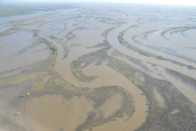 Экологическая катастрофа грозит реке Амур у Хабаровска - 