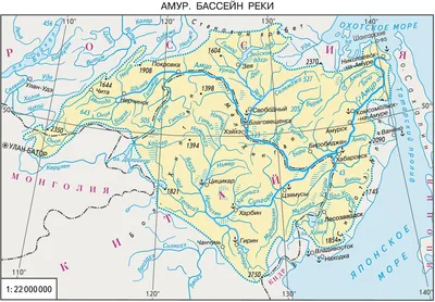 Почему Амур называется Амуром? | ЛИТИНТЕРЕС | Дзен