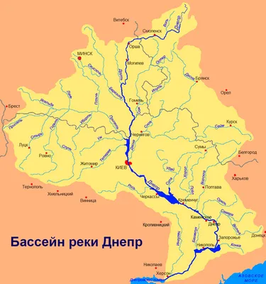 Заболоченный Днепр: как исчезает величайшая река Европы | Мир в его  многообразии | Дзен