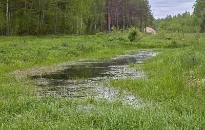 Реки днепр картинки