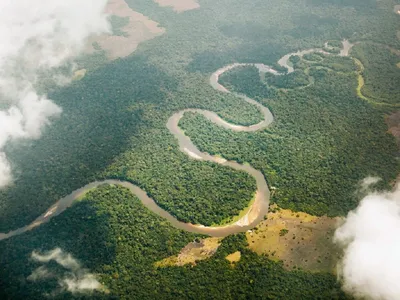 Конго (река) — Википедия