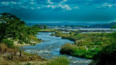 Река Конго (Африка)