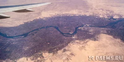 Река Нил - 74 фото
