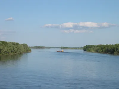 Круизы по реке Обь - Турлайнер: морские и речные круизы 2023 года