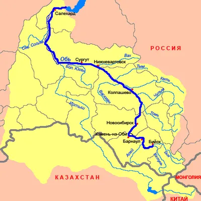 Река Обь и все о ней: где протекает, ее длина, глубины, крупные притоки |  Туристический портал VipGeo | Дзен