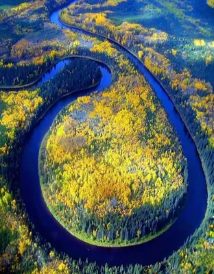 Обь назвали самой загрязненной рекой. Природнадзор не согласился -  «Экология России»