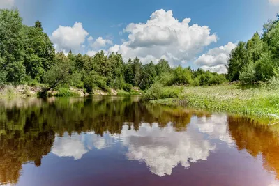 ПОВЕРХНОСТНЫЕ ВОДЫ • Большая российская энциклопедия - электронная версия