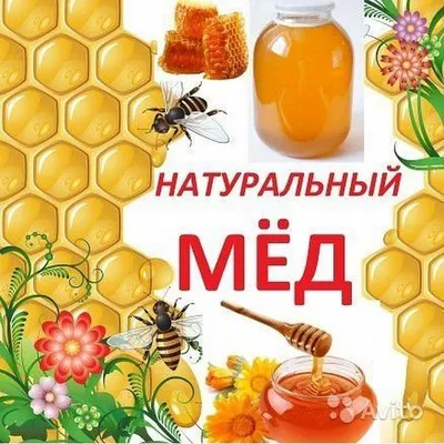 Вкусная медовая реклама со стеклянной банкой с золотым медом с  реалистичными пчелами | Премиум векторы