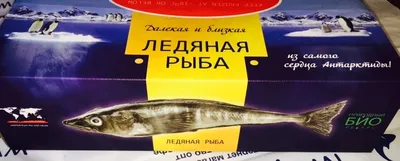 Ростовая рекламная фигура Рыба повар U07579, стеклопластик, 245 см, цвет:  синий купить недорого, цены от производителя 39 000 руб.