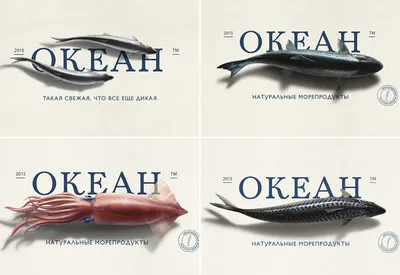Реклама рыбы: векторные изображения и иллюстрации, которые можно скачать  бесплатно | Freepik