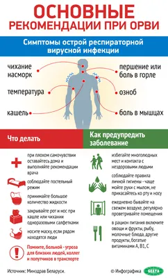 Рекомендации | ОО БОР