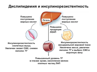 Рекомендации по боевым действиям в населенных пунктах