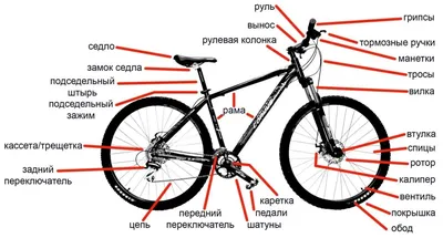 Первое ТО и настройка велосипеда своими руками