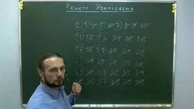 0005535411 Решето Пластинчатое