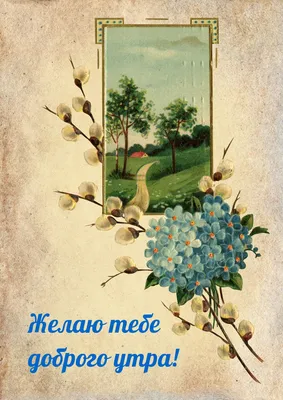 Советские открытки доброе утро зима (33 фото) » рисунки для срисовки на  Газ-квас.ком