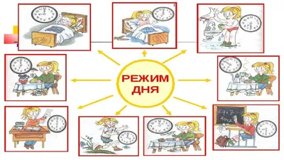 Мини-сад выходного дня!!!!