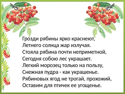 Рябина» раскраска для детей - мальчиков и девочек | Скачать, распечатать  бесплатно в формате A4