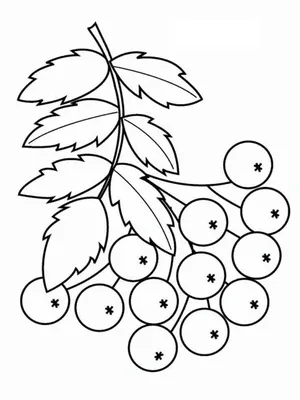 Раскраска Рябина распечатать для детей | 
