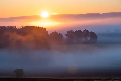 Частные фотомастерские в Niedersächsisch-Hessischen Bergland - Naturfotografie von Richard Donner aus Göttingen