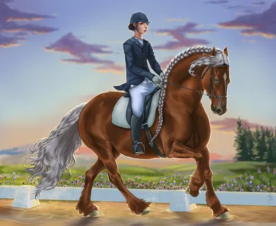 Картинка Лошади Девушки спортивные Конный спорт животное Рисованные