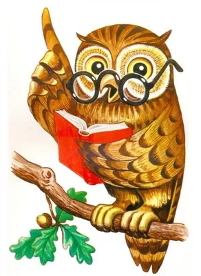 цвет воды красочный рисунок совы. реалистичная иллюстрация диких птиц.  создан с помощью технологии поддержки Иллюстрация штока - иллюстрации  насчитывающей перо, глаз: 269066200